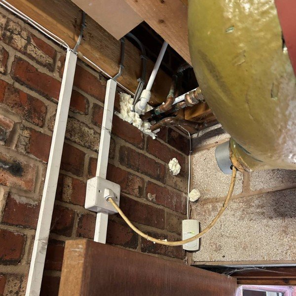 Commercial Pest Management Contracts