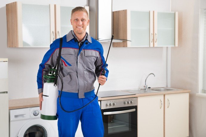 Commercial kitchen pest inspection