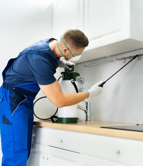 Moth monitoring trap placement